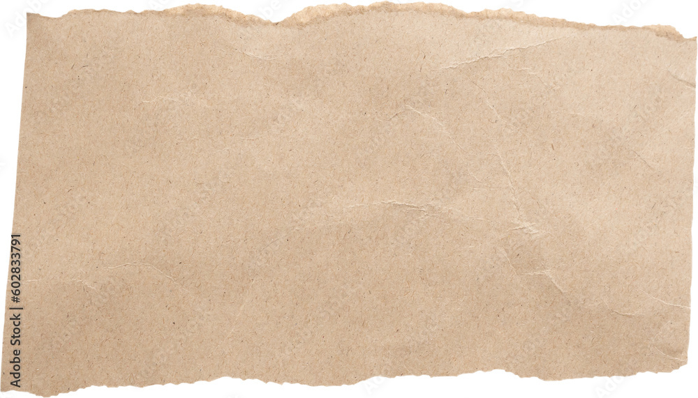 piece of brown paper tear isolated on white background - obrazy, fototapety, plakaty 