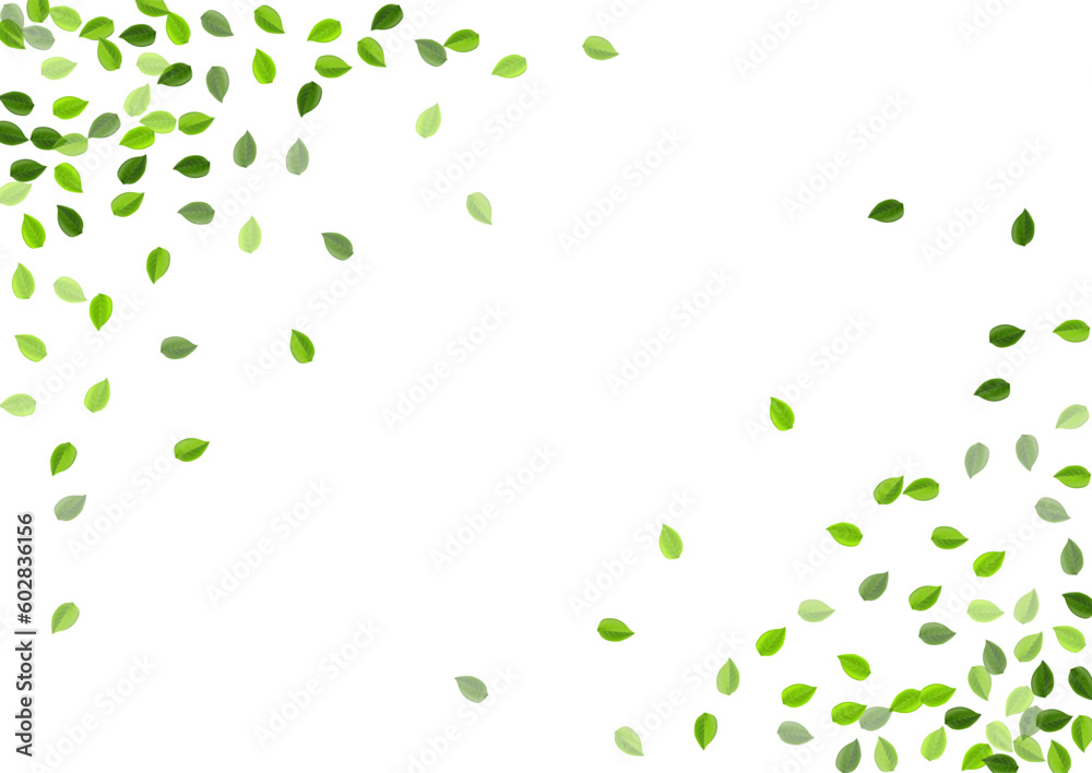 Forest Leaf Realistic Vector Plant. Fly Greens Forest Leaf Realistic Vector Plant. Fly Greens