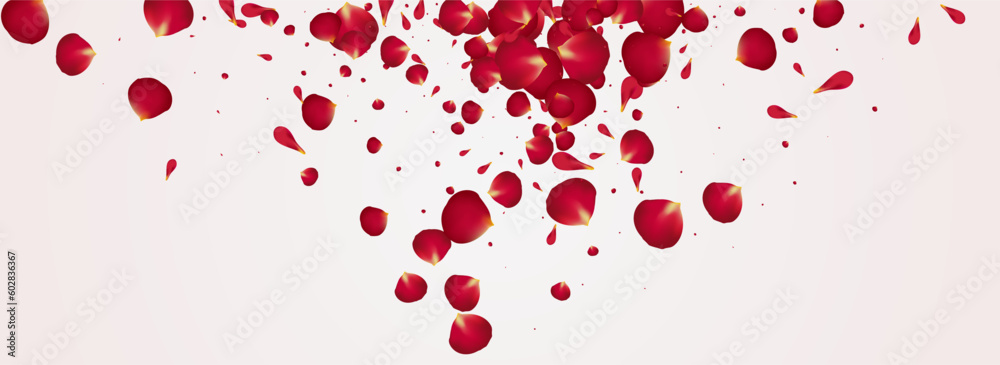 Red Floral Tender Vector Panoramic White Red Floral Tender Vector Panoramic White