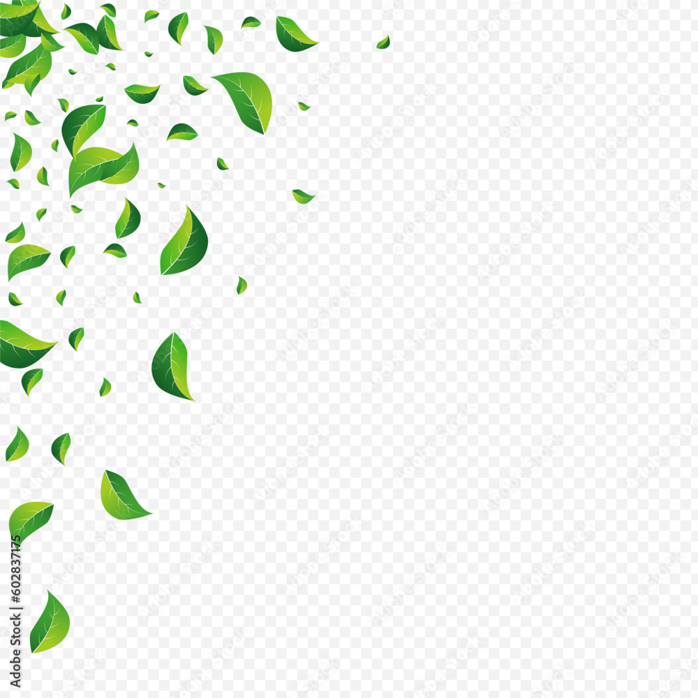 Forest Foliage Abstract Vector Transparent Forest Foliage Abstract Vector Transparent