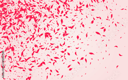 Carmine Blossom Vector Pink Background. Japanese