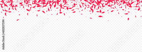 Beautiful Blossom Vector Transparent Panoramic