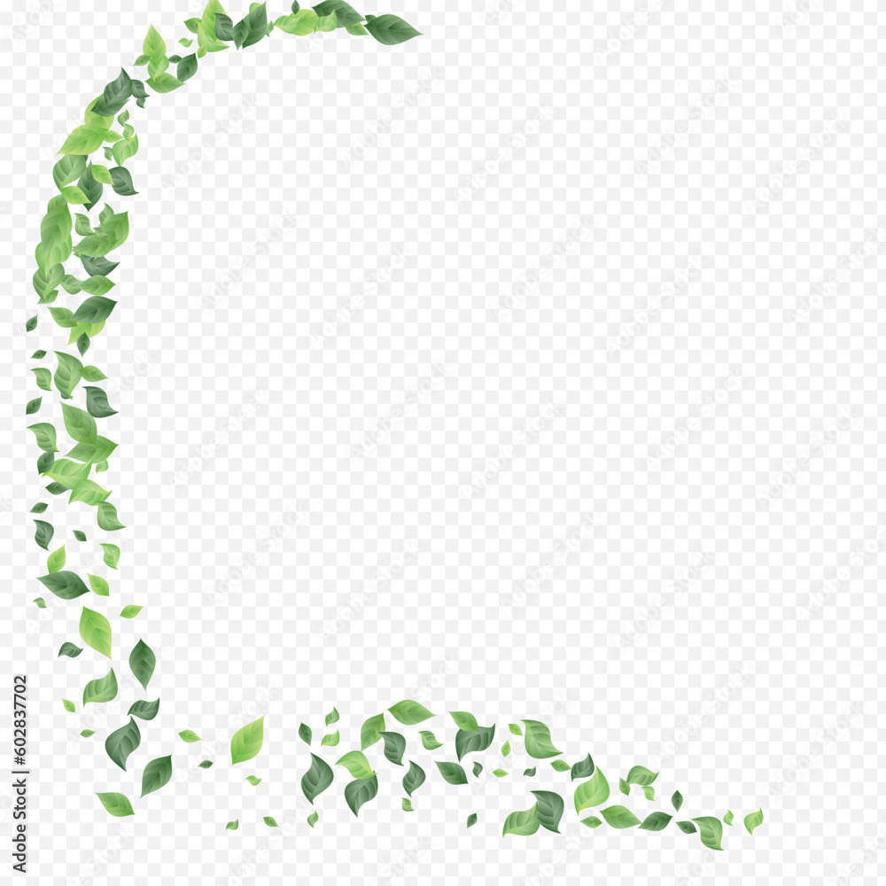 Swamp Leaves Wind Vector Transparent Background Swamp Leaves Wind Vector Transparent Background