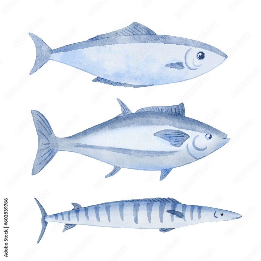 Atlantic ocean fish set. Watercolor blue illustration isolated on white