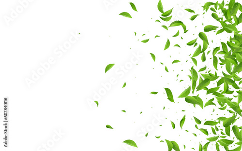 Mint Foliage Flying Vector White Background