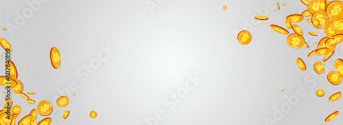 Cartoon Golden Coin Vector Gray Panoramic