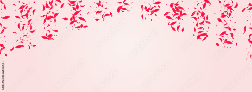 Scarlet Lotus Vector Pink Panoramic Background. Scarlet Lotus Vector Pink Panoramic Background.