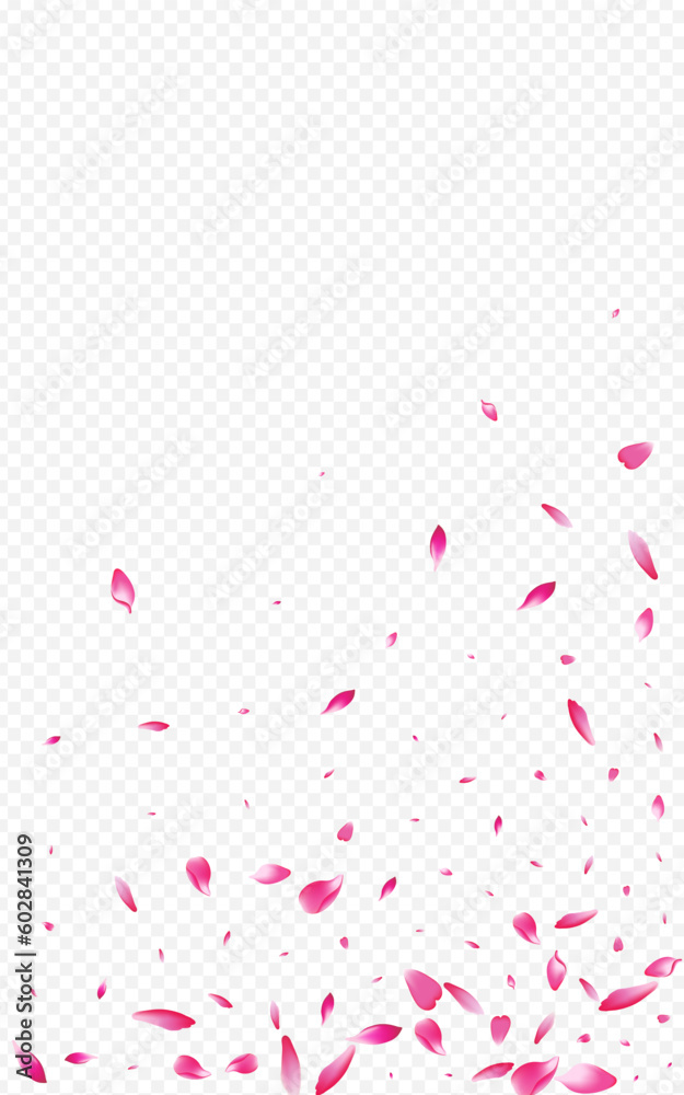 Color Cherry Vector Transparent Background. Rosa