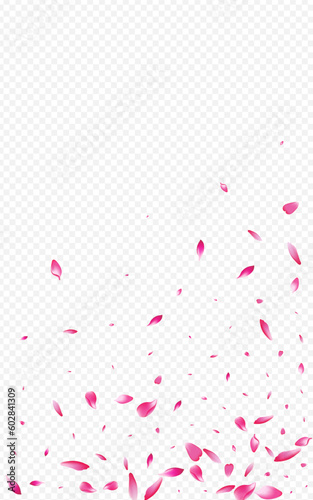 Color Cherry Vector Transparent Background. Rosa