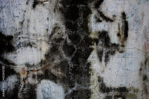 Fototapeta Naklejka Na Ścianę i Meble -  This close-up of a weathered, rundown wall displays the deterioration of its textured pattern and reveals an old architecture in decline.