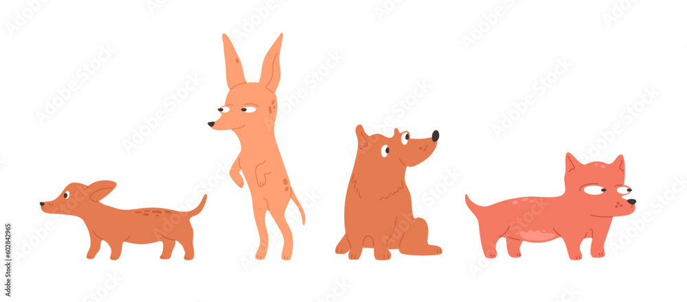 Cool dogs set. Cute puppy looks suspiciously or with curious. Simple domestic animal, abstract comic pet. Vector illustration with corgi, friendly dachshund, playful chihuahua.