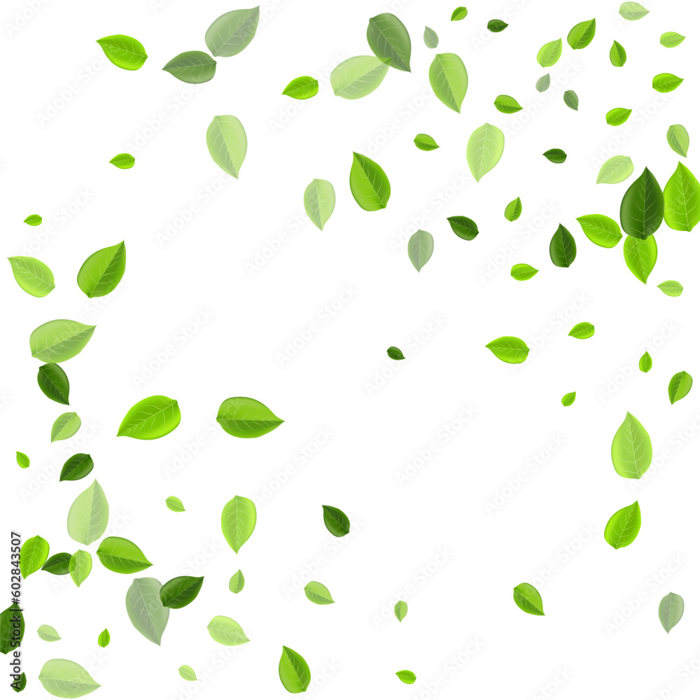 Lime Leaves Abstract Vector Background. Blur Leaf Lime Leaves Abstract Vector Background. Blur Leaf