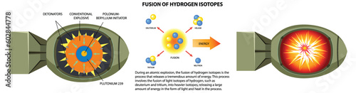 Fusion of Hydrogen Isotopes