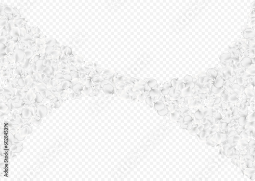 Snowy Petal Vector Transparent Background.