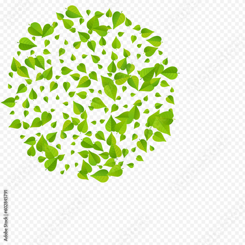 Mint Foliage Blur Vector Transparent Background