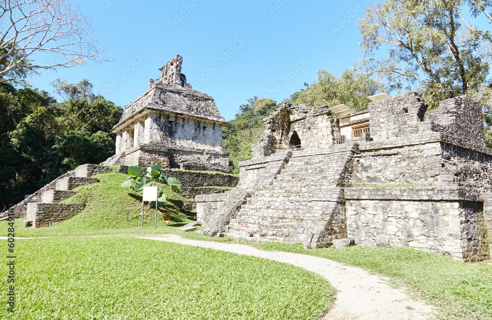 Fototapeta premium The stunning jungle ruins of Chiapas, Mexico was one of the greatest cities of the ancient Mayan civilization