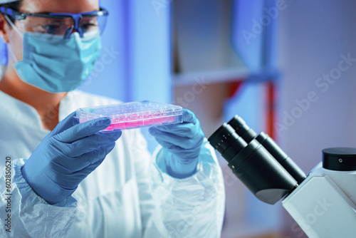 Stem cell researcher working in laboratory photo