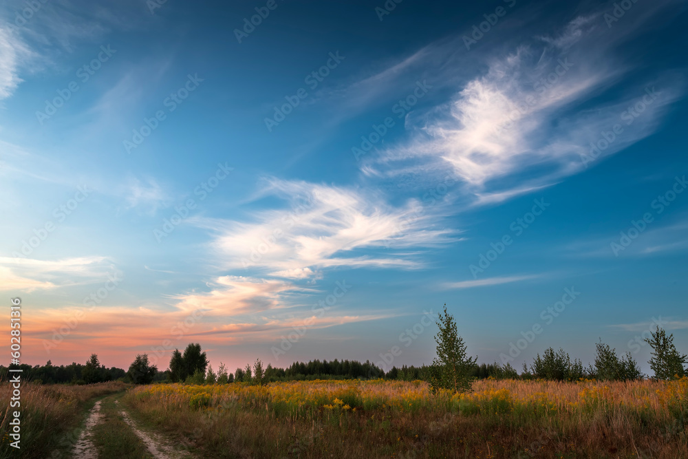 Rural road in green grass and orange summer sunset.