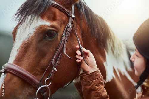 Horse, prepare and face of a racing animal outdoor with woman hand ready to start training. Horses, countryside and pet of a female person holding onto rein for riding and equestrian sport exercise photo