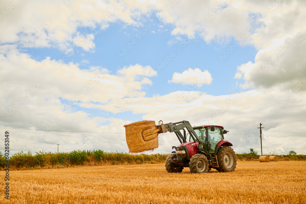 Fototapeta premium Straw, agriculture and a tractor on a farm for sustainability on an open field during the spring harvest season. Nature, sky and clouds with a red agricultural vehicle harvesting hay in a countryside