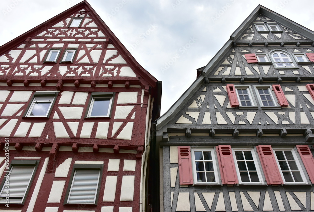 half-timbered houses in village  Marbach am Neckar,Germany
