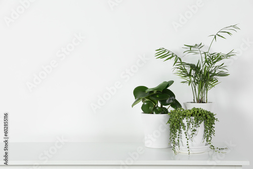 Many beautiful green potted houseplants on white table indoors, space for text