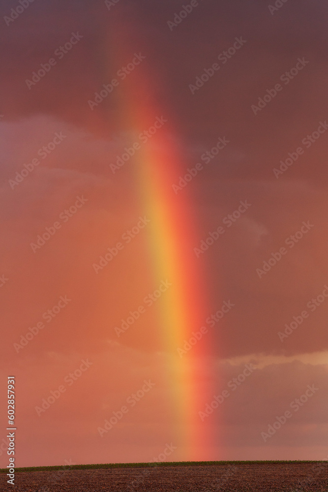 Rainbow in alentejo Portugal  agriculture