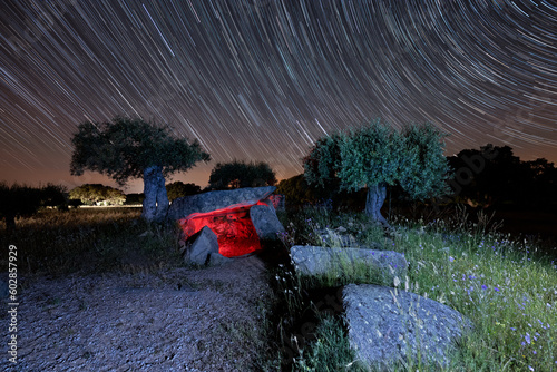 Tapir monument history tree Portugal