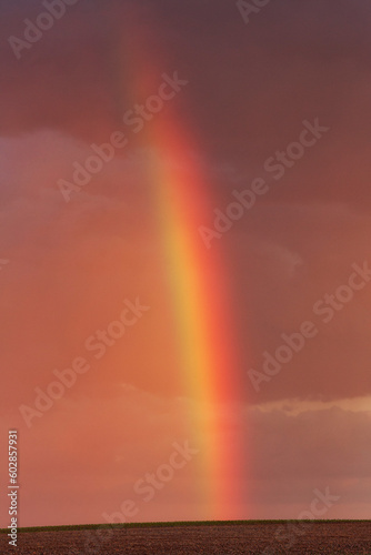 Rainbow in alentejo Portugal agriculture