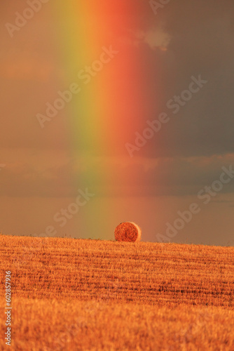 Rainbow in alentejo Portugal agriculture