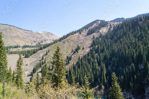 View of a hill with trees, Kolsai lake, Kazakhstan.