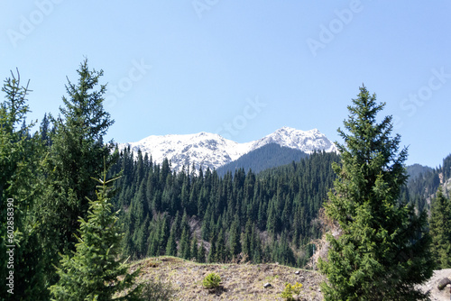 View of the mountain peaks, trees nearby, Kaindy lake, Kazakhstan