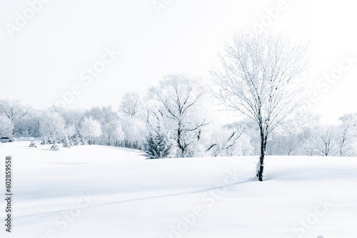 Beautiful winter scene with snow and frost covered trees.