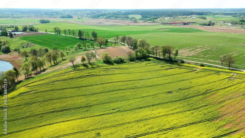 Beautiful field with yellow rapeseed flowers, with a picturesque village in the background Beautiful field with yellow rapeseed flowers, with a picturesque village in the background