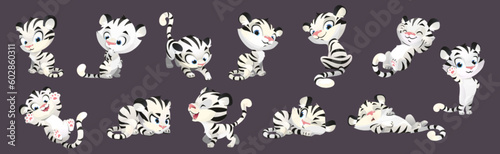 Cute white tiger baby cartoon vector character set. Small dancing, waving, lying, smile and playful wild cat with tail isolated drawing. Comic expression wild asset kit with blue eyes and black stripe