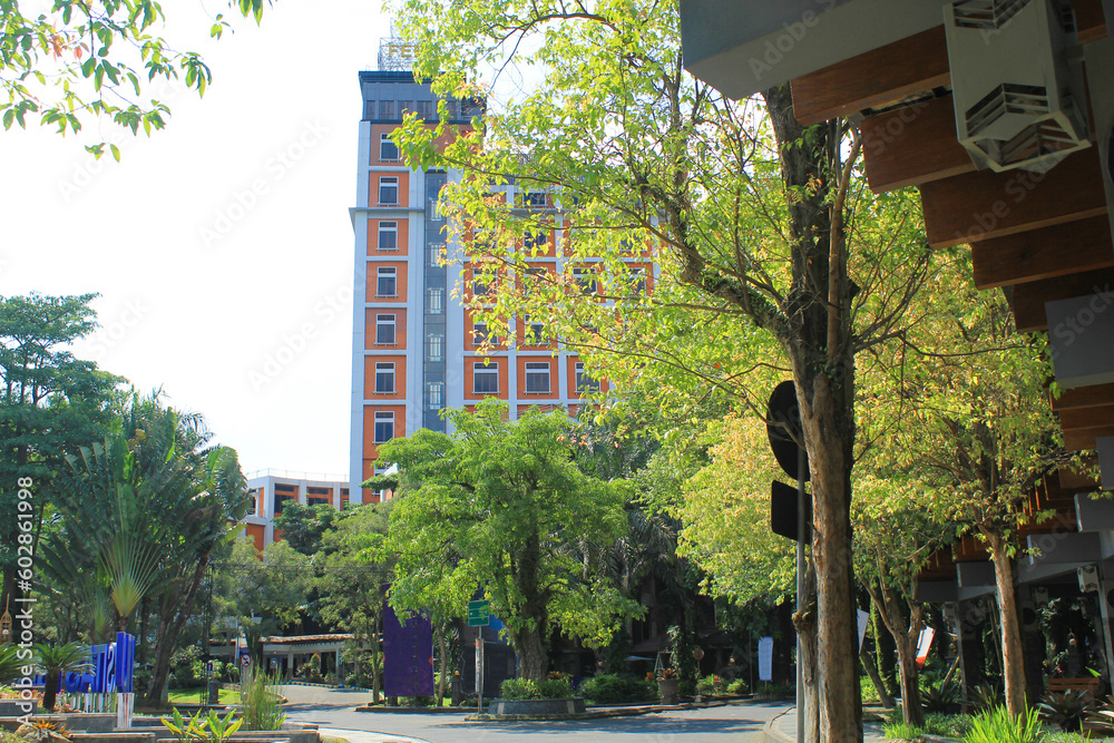 classic modern campus building or office with green concept planted trees. tall building or sky scrapers