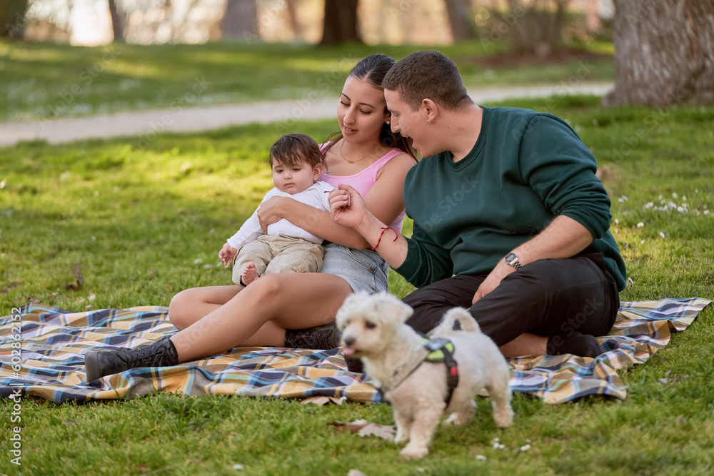  A young family sitting on the grass with their baby and dog, enjoying a beautiful summer day together