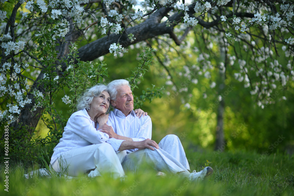 Fototapeta premium Senior couple sitting on the grass in the park