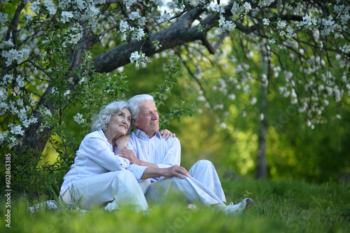 Senior couple sitting on the grass in the park © aletia2011