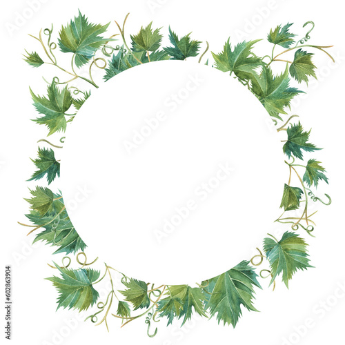 Grapevine leaf grapes wreath circle watercolor illustration hand painted. For invitation, packaging, cards, label