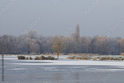 landscape with lake, trees and snow