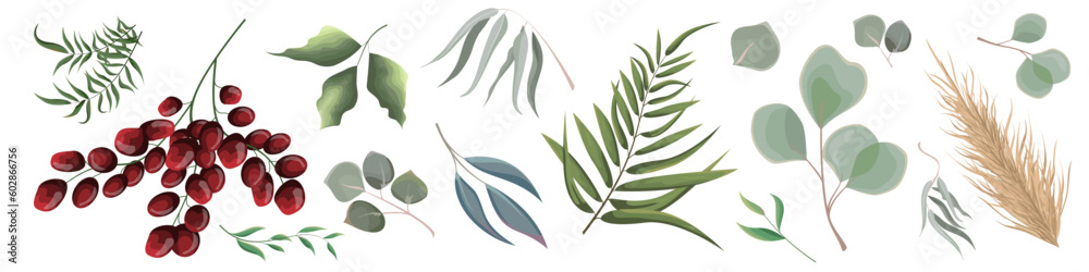 Mix of herbs and plants vector collection. Juicy eucalyptus, deadwood, green plants and leaves. All elements are isolated. Red berries. Mix of herbs and plants vector collection. Juicy eucalyptus, deadwood, green plants and leaves. All elements are isolated. Red berries.