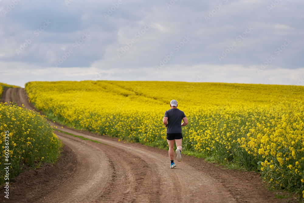 Obraz premium Distance runner running on a road through canola field