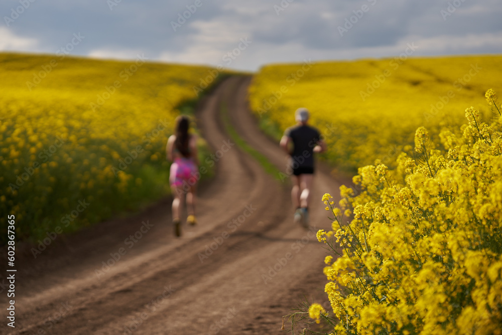 Fototapeta premium Endurance runners on a dirt track in a canola field, training