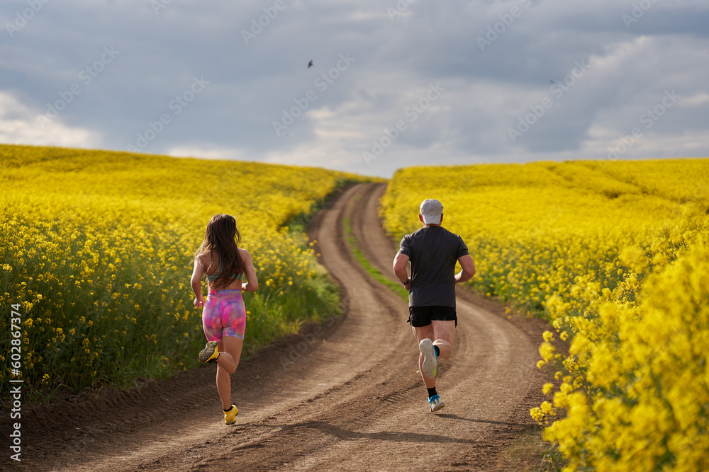 Fototapeta premium Endurance runners on a dirt track in a canola field, training