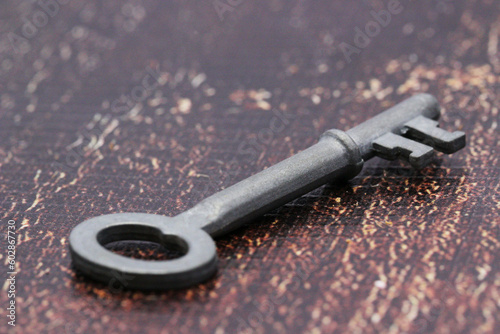 Metal key on a tree background