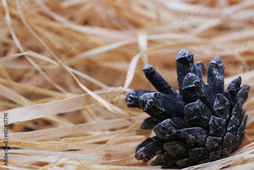 Pine cone on the background of straw