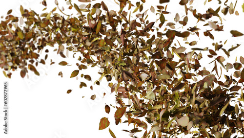 leaves flying in the wind, isolated on transparent background 