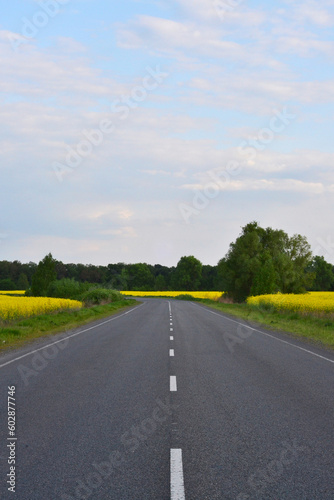 In the middle of a mountainous yellow field, a road for cars. Ukraine