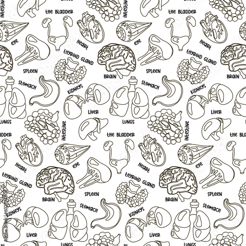 Sample contour of human internal organs for surgery and transplantation. Including heart, liver, kidneys, eye, bladder, pancreas, brain, intestines, stomach and names. Flat seamless pattern on white